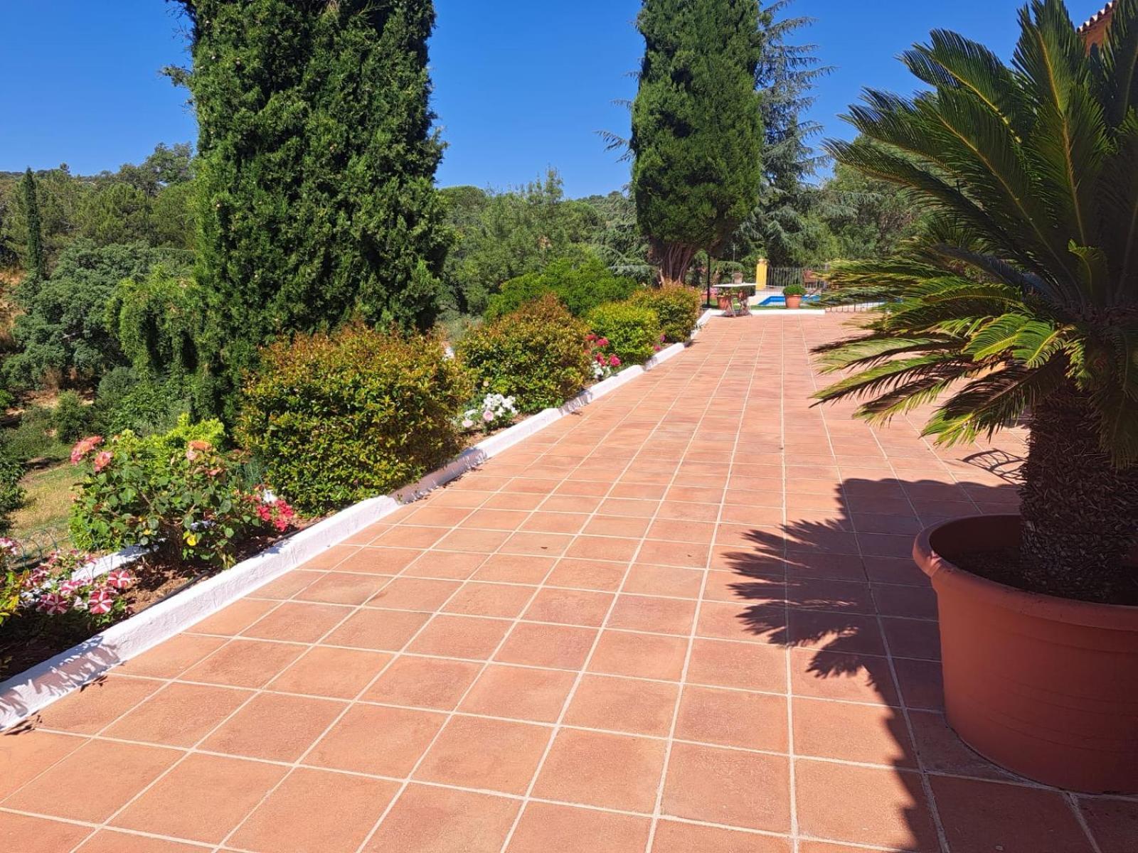 Casa Rural Villa Manuela Cazalla de la Sierra Exteriör bild